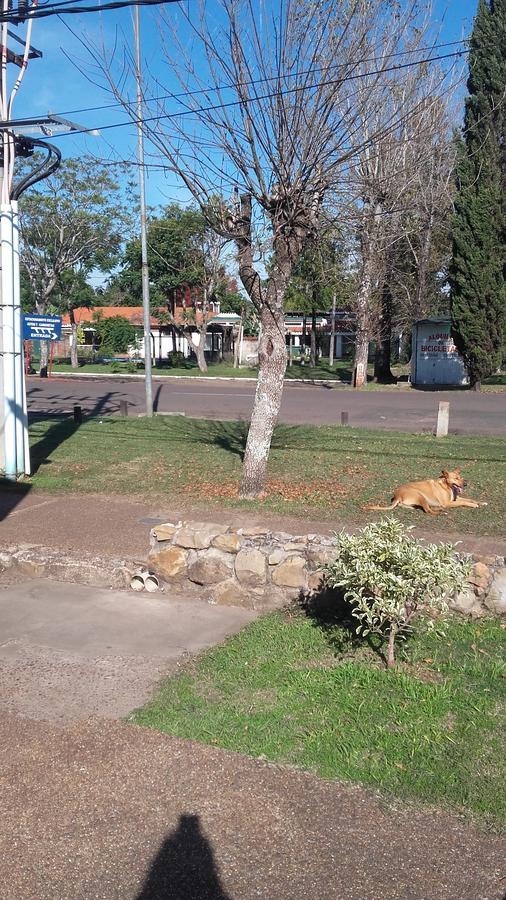 Brisas Del Rio Apart Hotel Termas del Daymán Eksteriør billede
